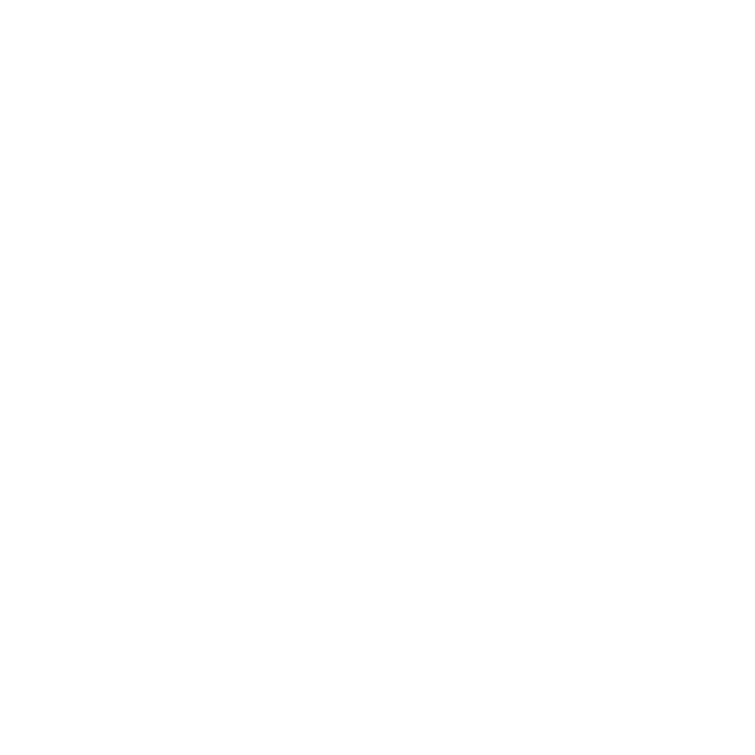 Dusty Roofs logo