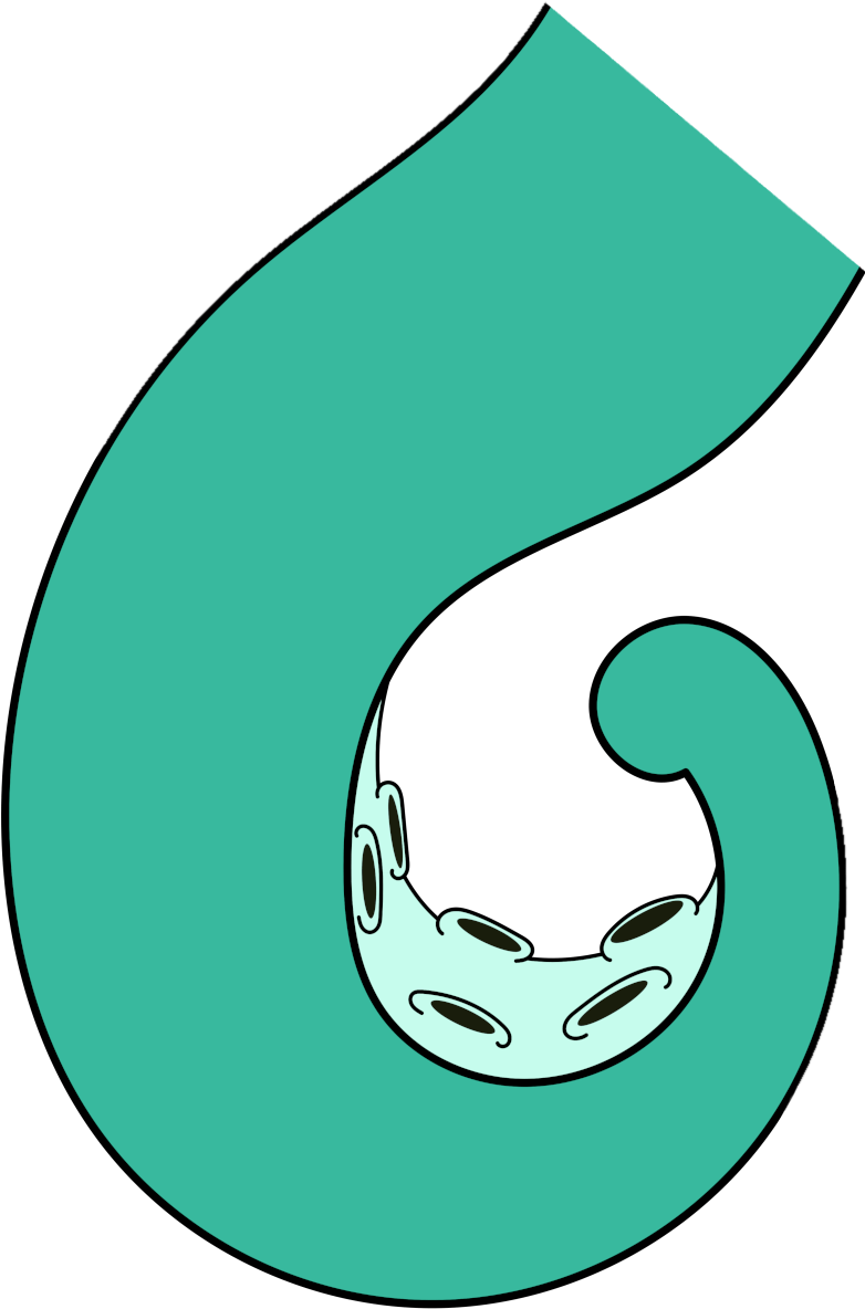 Kraken tentacle